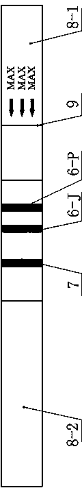 Test strip for one-step identification of foot-and-mouth disease virus infection and vaccine-immunized animals and preparation method thereof