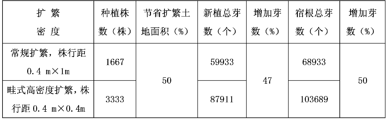 High-density expanding propagation method of healthy sugarcane seedlings