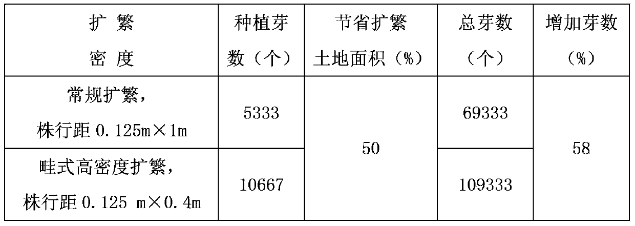 High-density expanding propagation method of healthy sugarcane seedlings