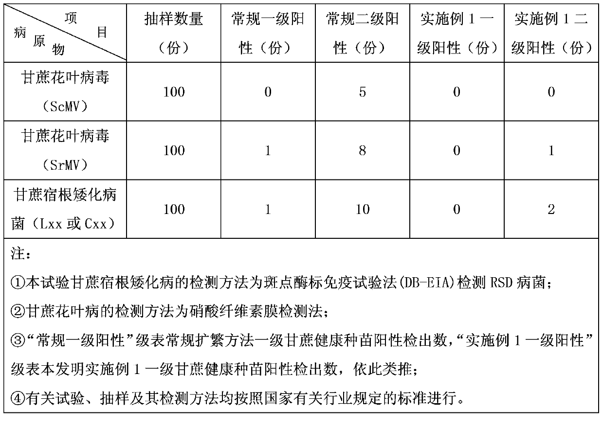 High-density expanding propagation method of healthy sugarcane seedlings