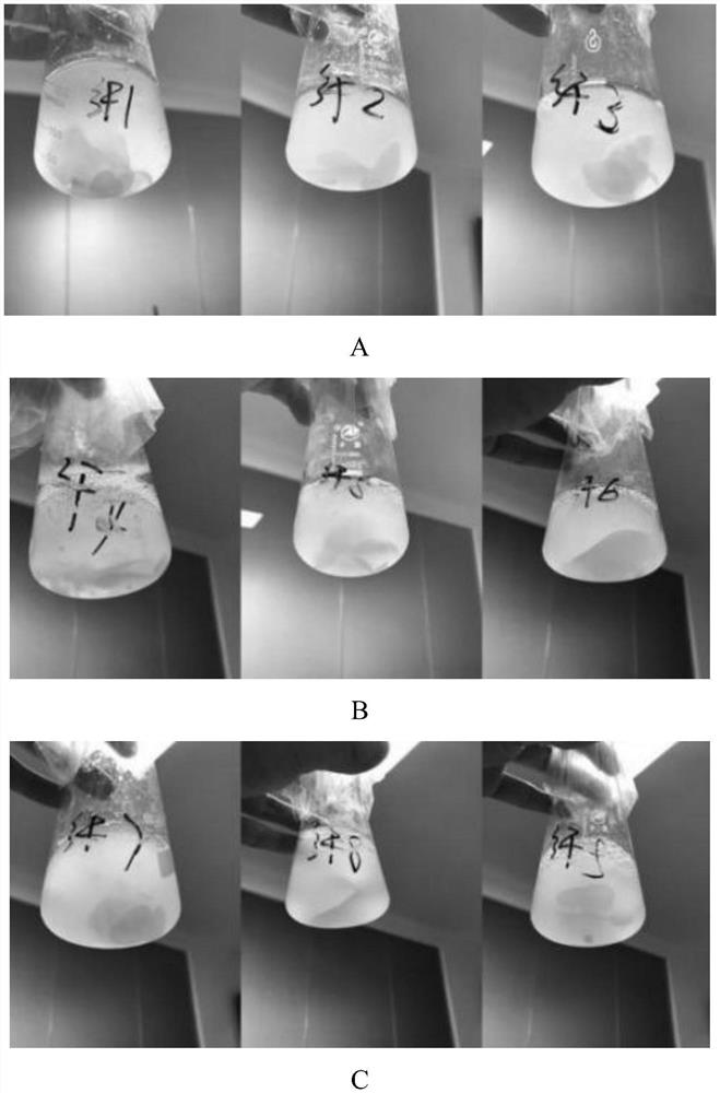 Complex microbial inoculant, method for preparing microbial composite carbon source by using complex microbial inoculant, and application of microbial composite carbon source in sewage treatment