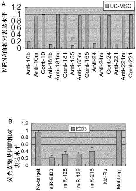 Method for inducing direct transdifferentiation of umbilical cord mesenchymal stem cells into erythroblasts