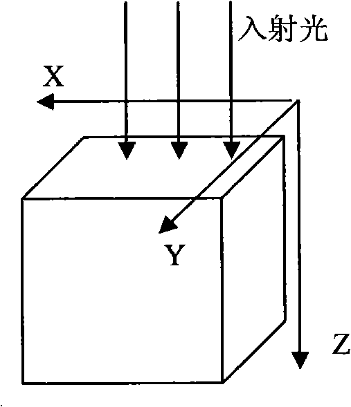 PS-OCT-based three dimension visualized imaging method