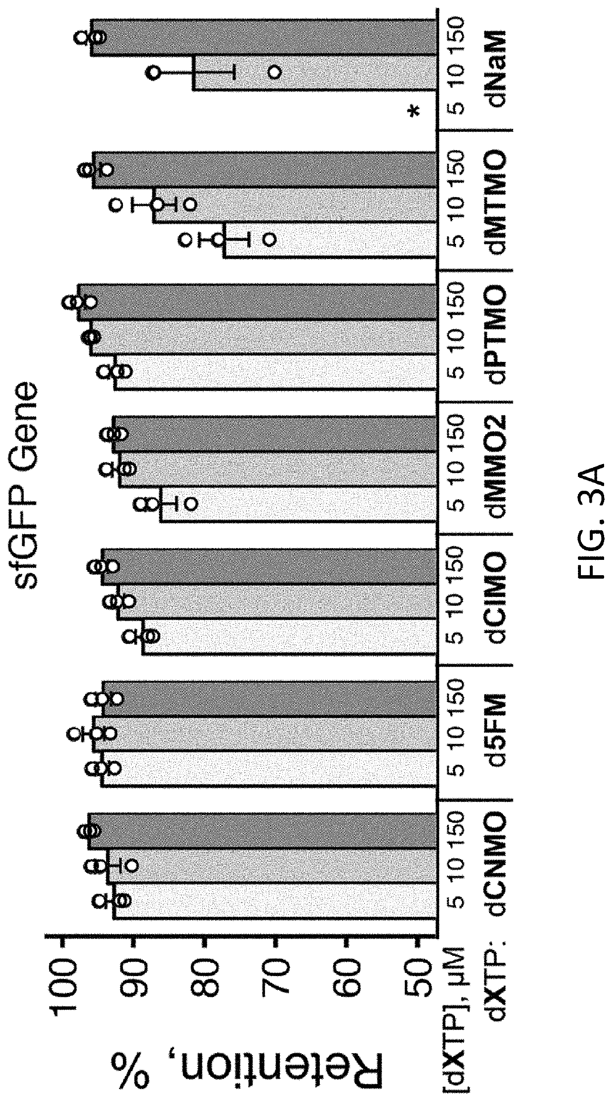 Reagents and methods for replication, transcription, and translation in semi-synthetic organisms