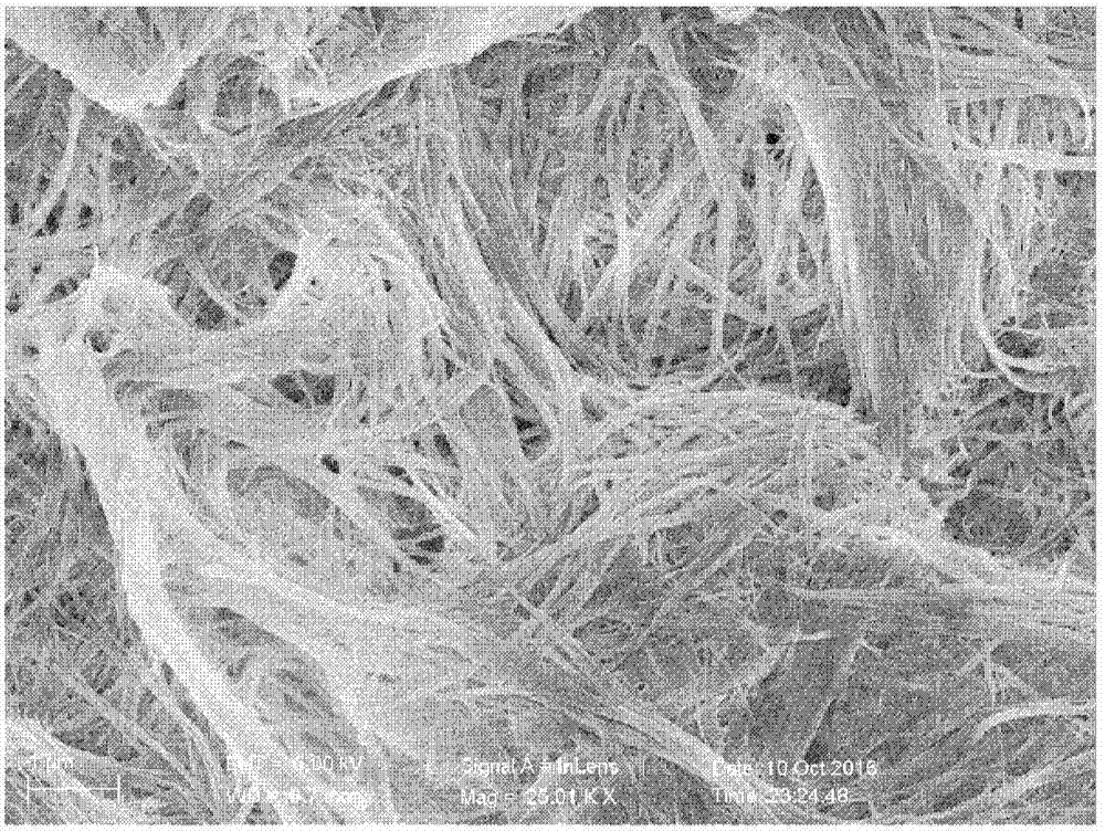 Zinc selenide ultrathin nanoribbon and anion exchange method for preparing same