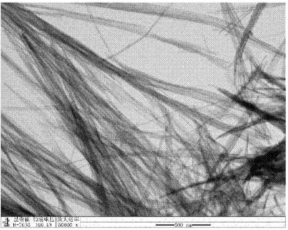 Zinc selenide ultrathin nanoribbon and anion exchange method for preparing same