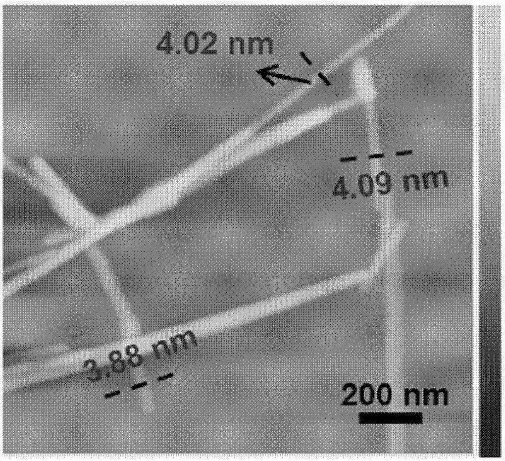 Zinc selenide ultrathin nanoribbon and anion exchange method for preparing same