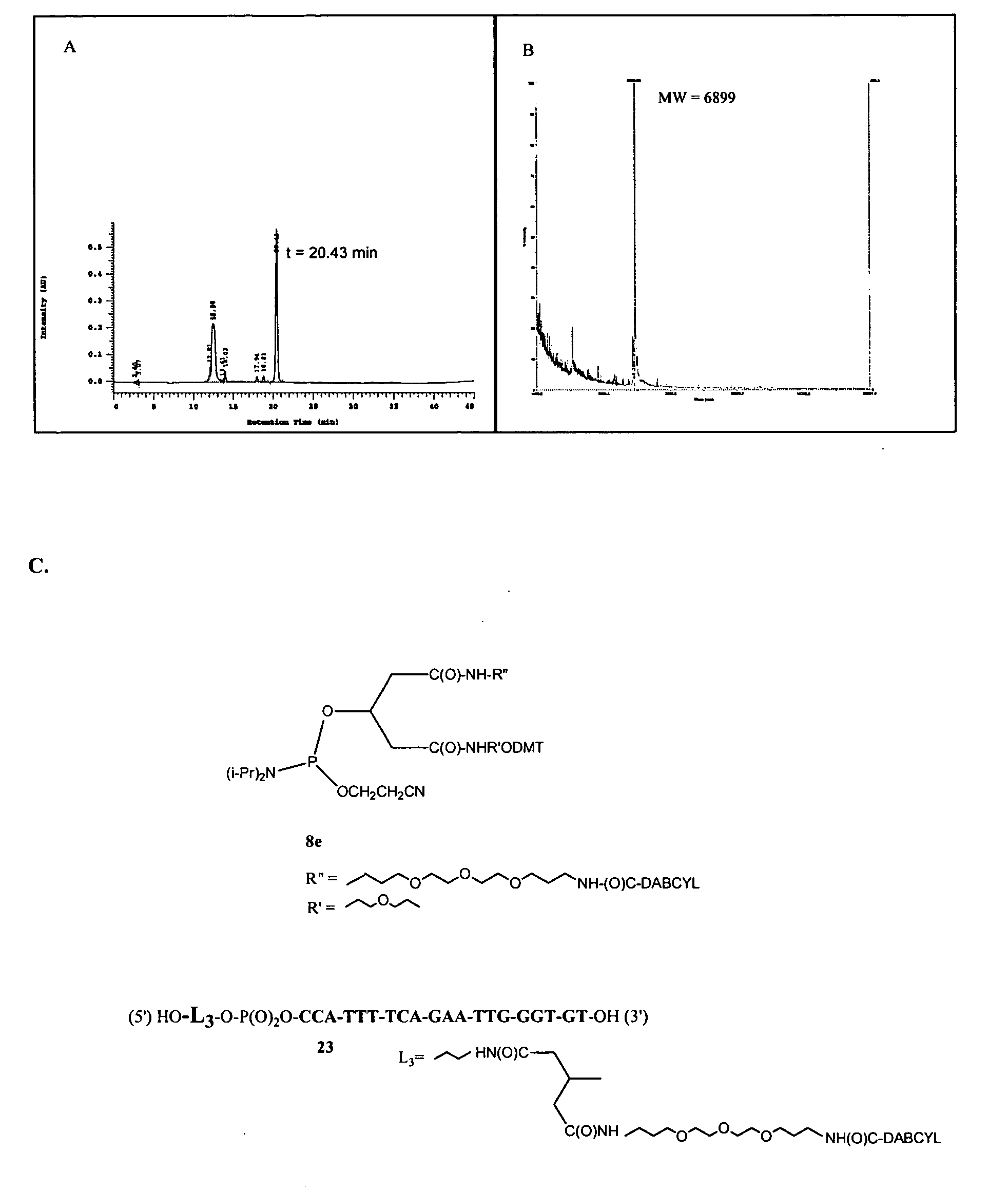 Reactive functional groups