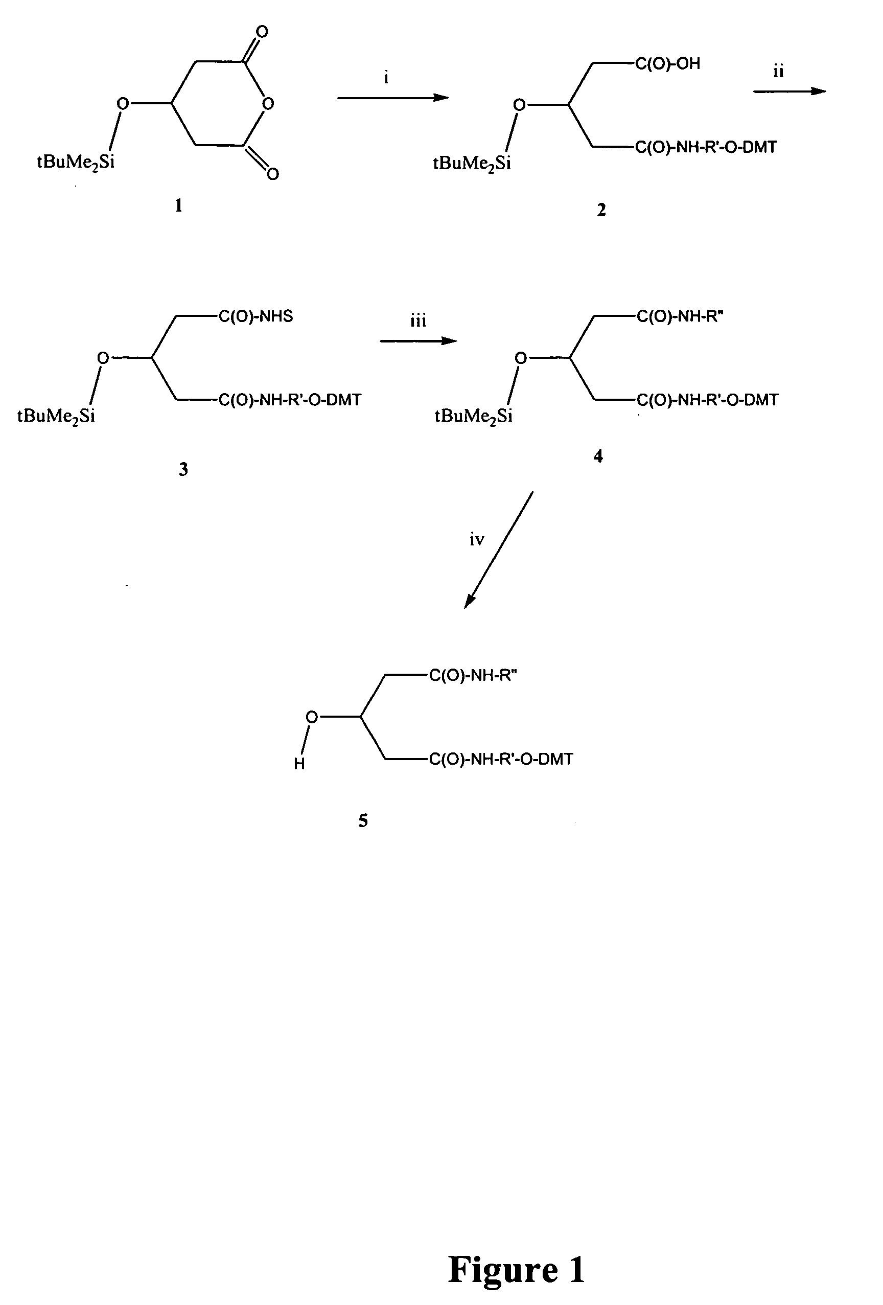 Reactive functional groups