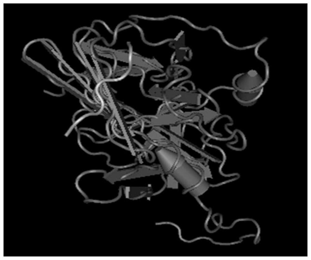 Expression vector, expression system and application of recombinant TEV protease