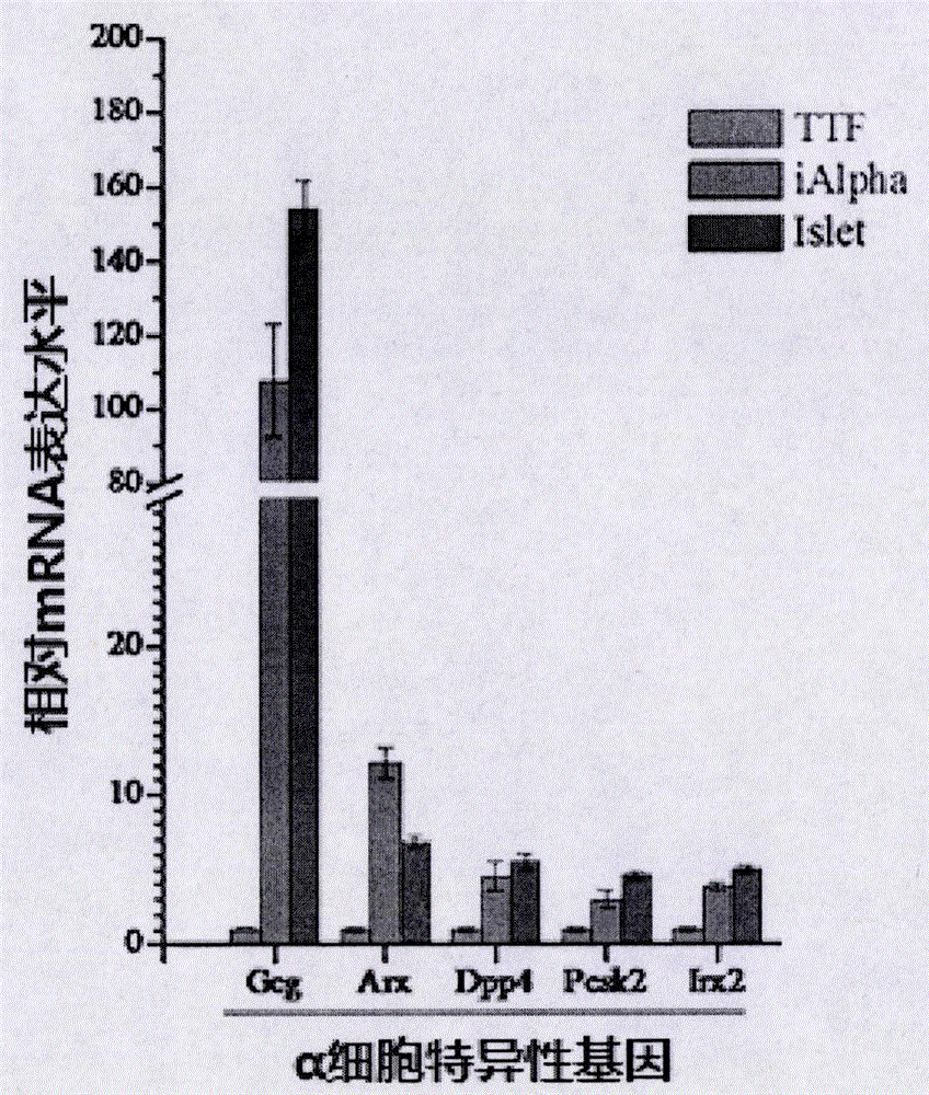 Preparation method, product and application of alpha cell