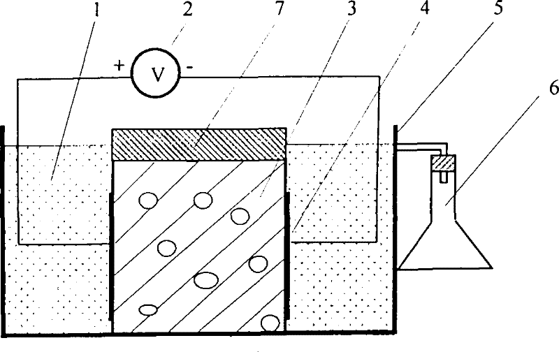 Anti-sulphates corrosive test method and test device of cement concrete