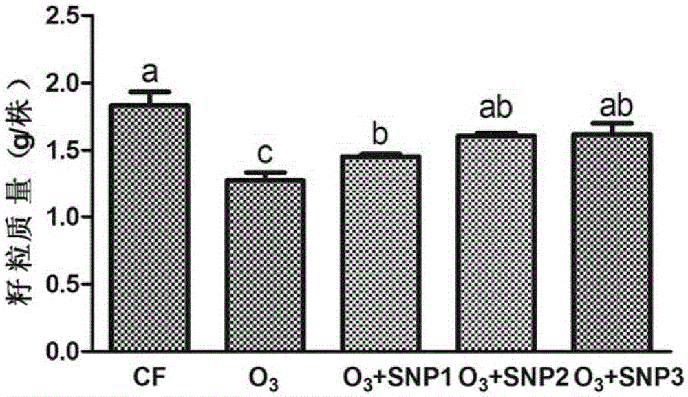 Application of sodium nitroferricyanide and/or sodium nitroprusside in slowing down output reduction of agricultural crops