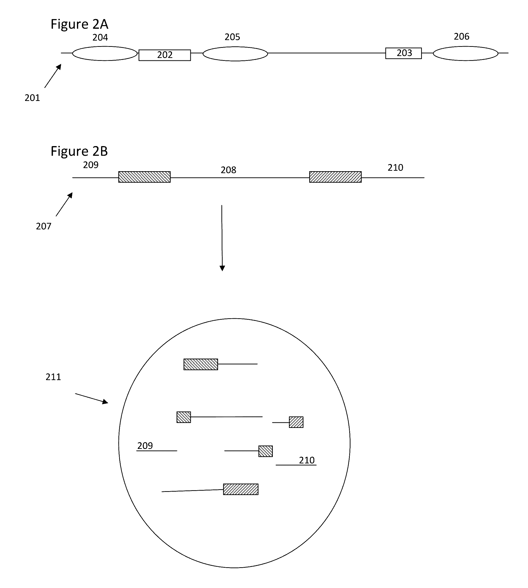 Methods and compositions for targeted nucleic acid sequencing