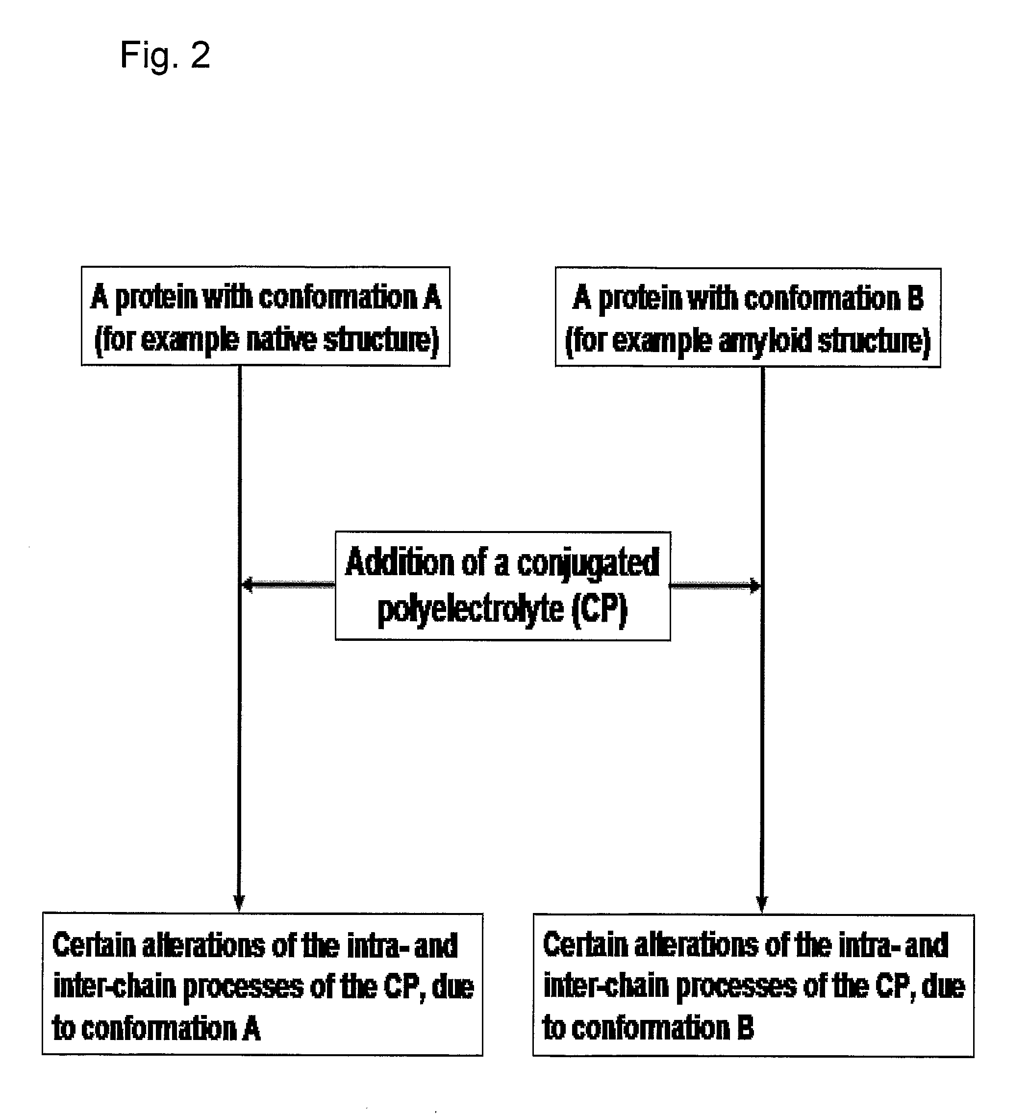 Methods for Determining Conformational Changes and Self-Assembly of Proteins