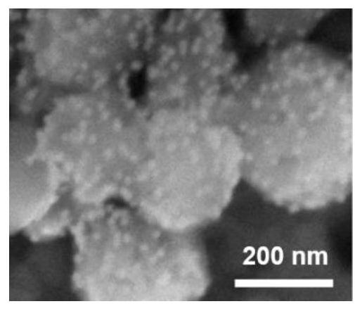 A ph-responsive nanocarrier and its preparation method and application