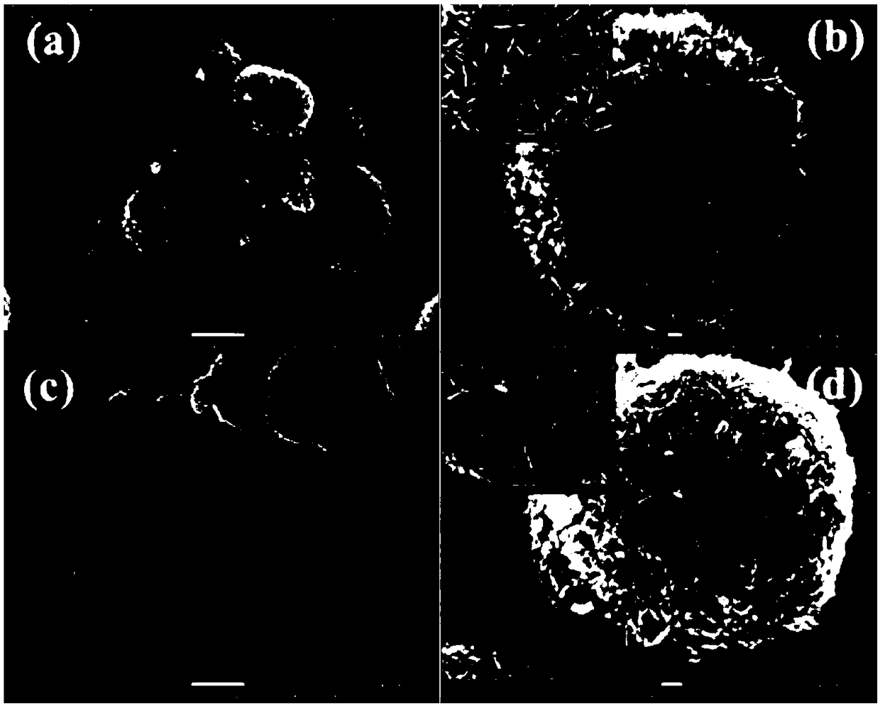 Iron (III)/bismuth molybdate having oxygen deficiency based composite photocatalytic material and preparation method of composite photocatalytic material