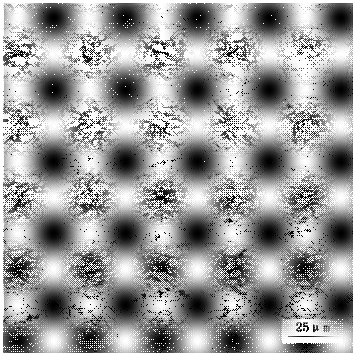 High-tenacity steel plate for ocean engineering and manufacturing method thereof