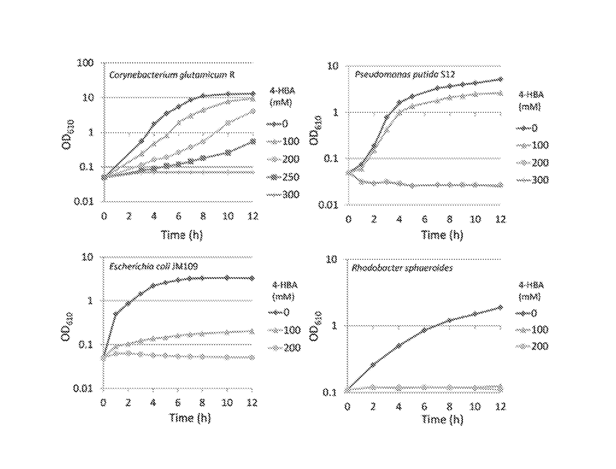 Highly active mutant enzyme for producing 4-hydroxybenzoic acid or salt thereof