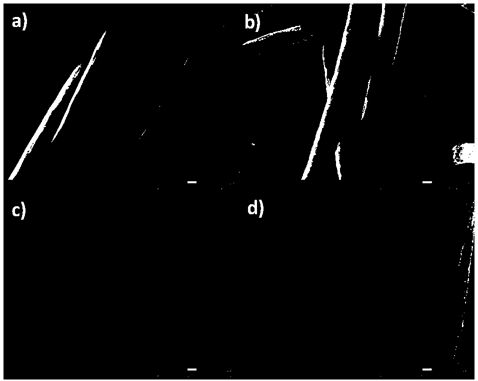 Fiber immobilization method of fluorescence carbon nanomaterial