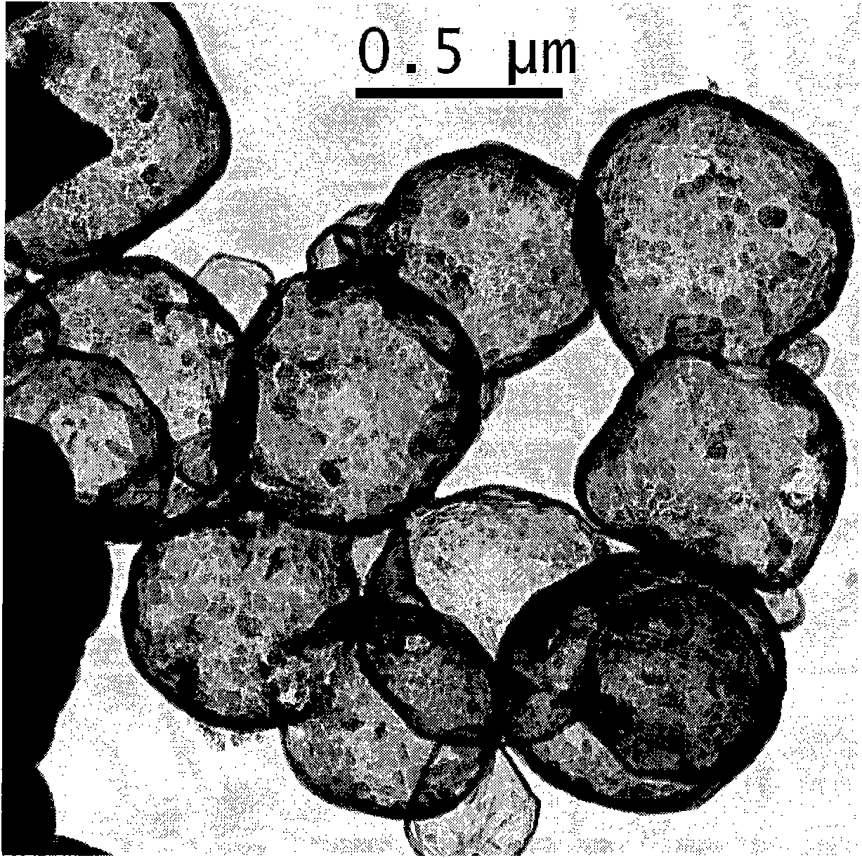 Preparation method of high-graphitized nanometer carbon material