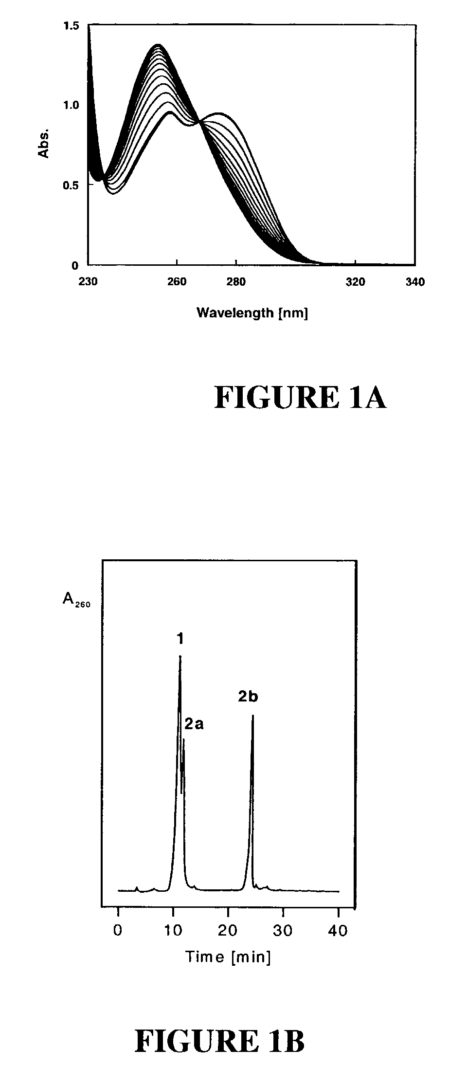 Nucleic acid binding compounds containing pyrazolo[3,4-d]pyrimidine analogues of purin-2,6-diamine and their uses