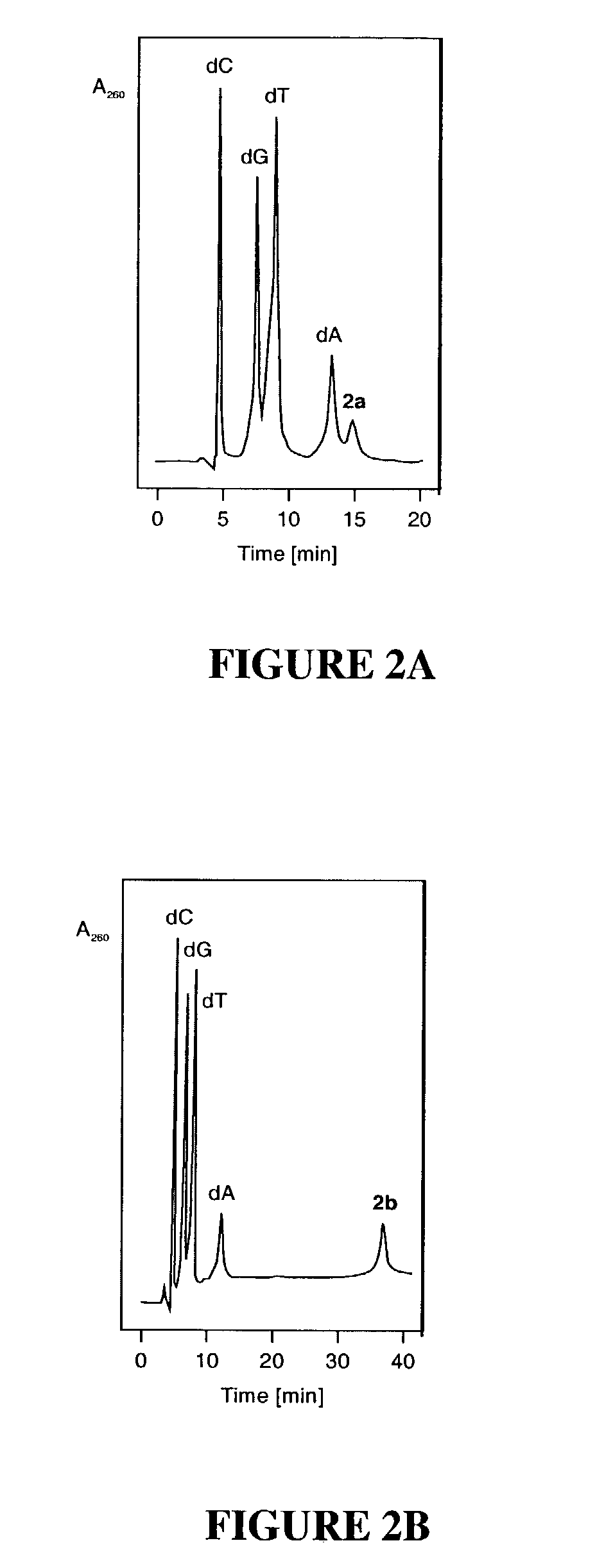 Nucleic acid binding compounds containing pyrazolo[3,4-d]pyrimidine analogues of purin-2,6-diamine and their uses