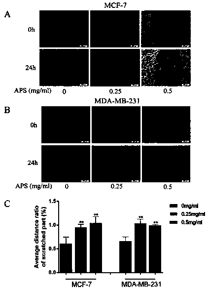 Novel integrated pharmacology method and application thereof in treatment of breast cancer by astragalus membranaceus