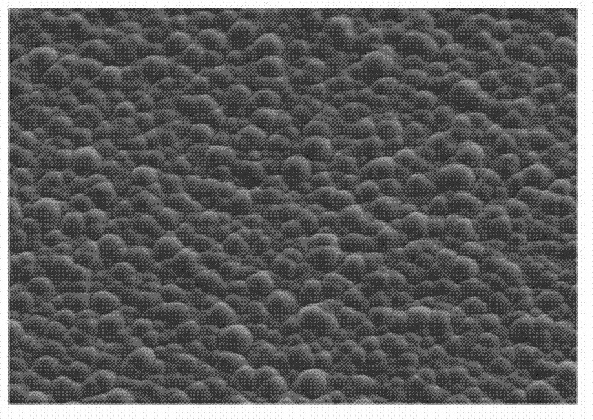 Machining method of nano column/needle forest structure