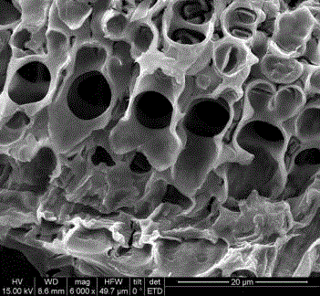 Synthetic method of biological structural carbon/cerium oxide artificial photosynthesis material