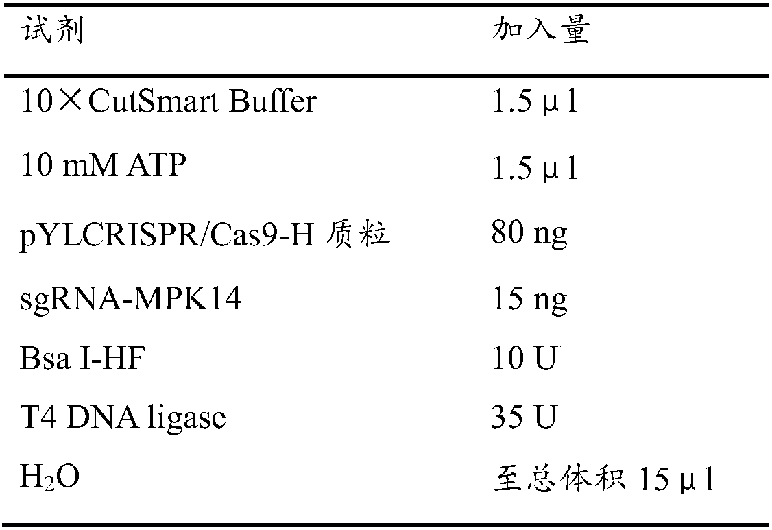 Rice seed dormancy regulation gene OsMPK14 and application thereof