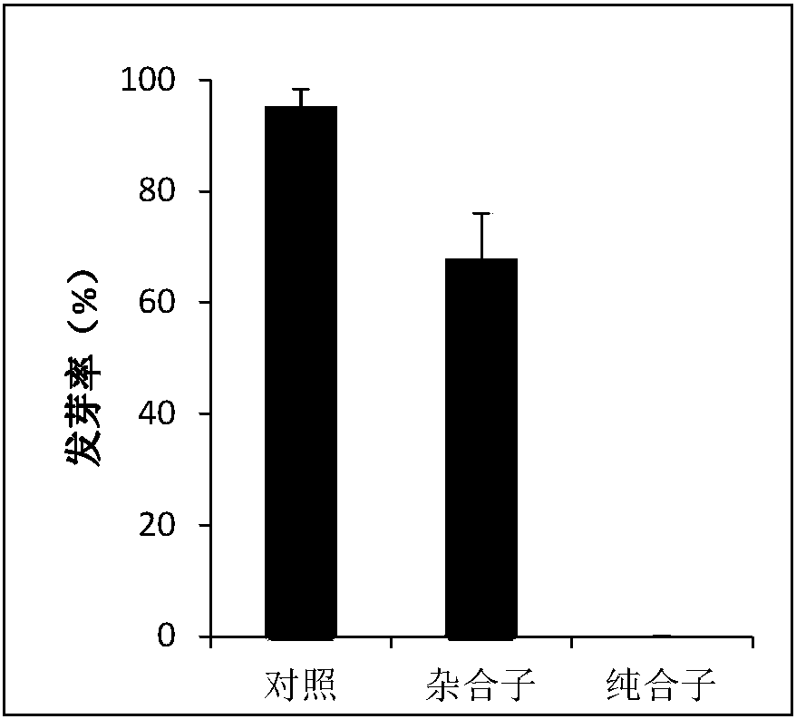 Rice seed dormancy regulation gene OsMPK14 and application thereof