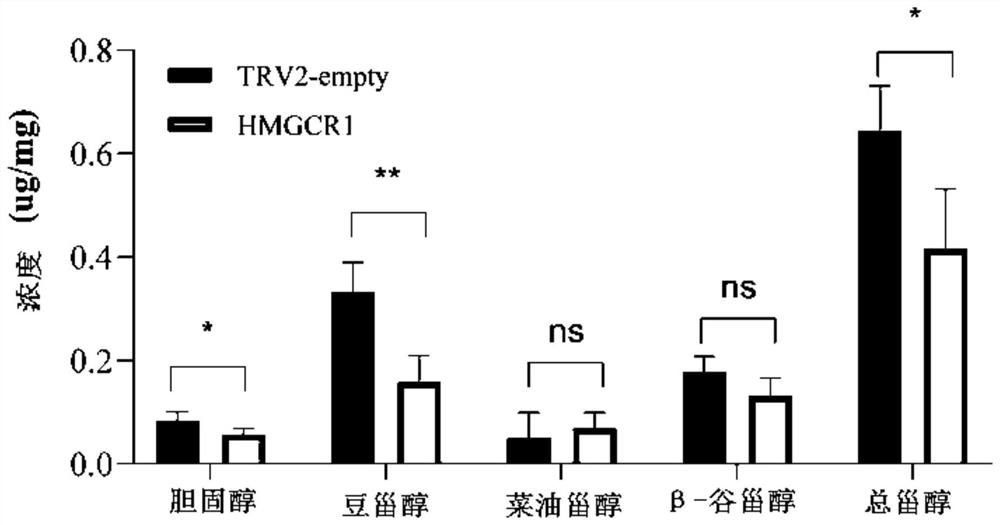 3-hydroxy-3-methylglutaryl coenzyme A reductase gene of tobacco and application thereof