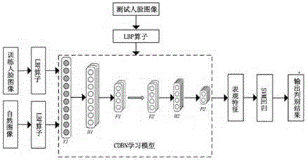 A face beauty prediction method based on deep self-learning