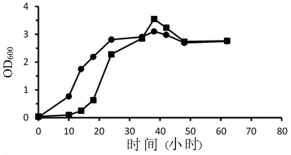 Fixable oxycarbide and microorganism capable of performing fermentation reaction and preparation method and application thereof