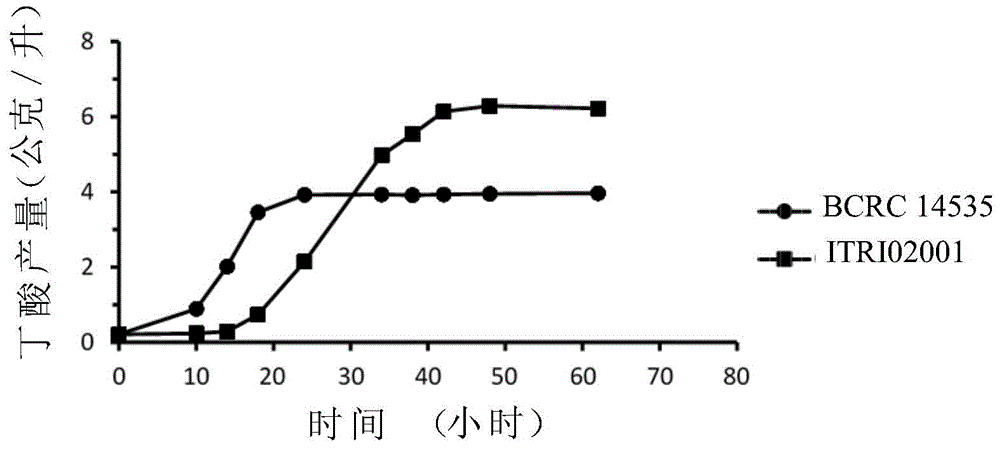 Fixable oxycarbide and microorganism capable of performing fermentation reaction and preparation method and application thereof