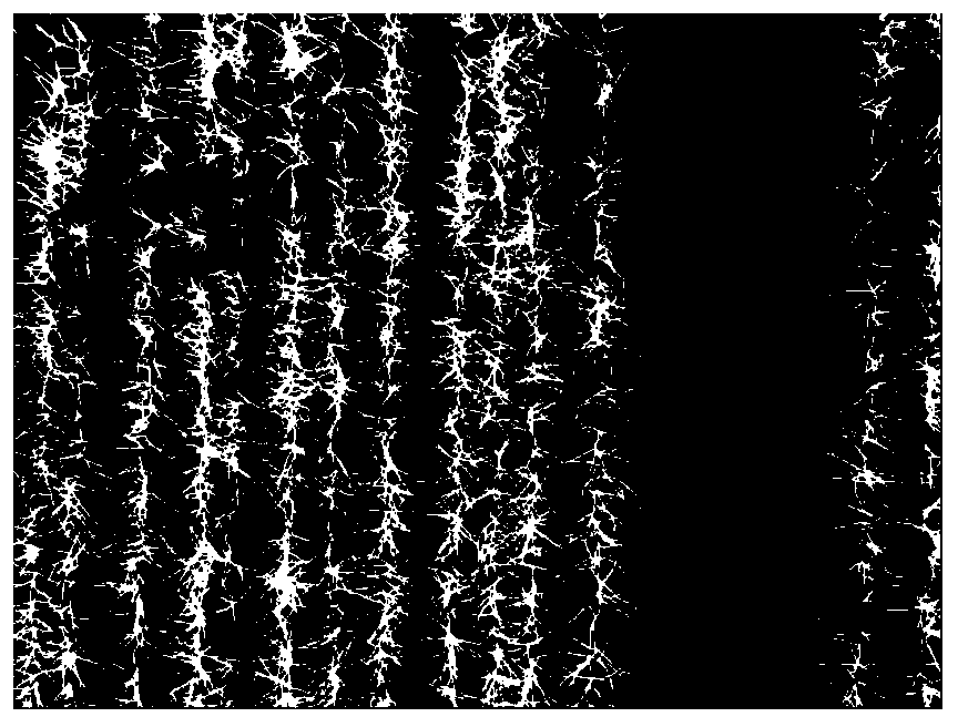 Wheat plant real-time counting method based on deep learning image segmentation