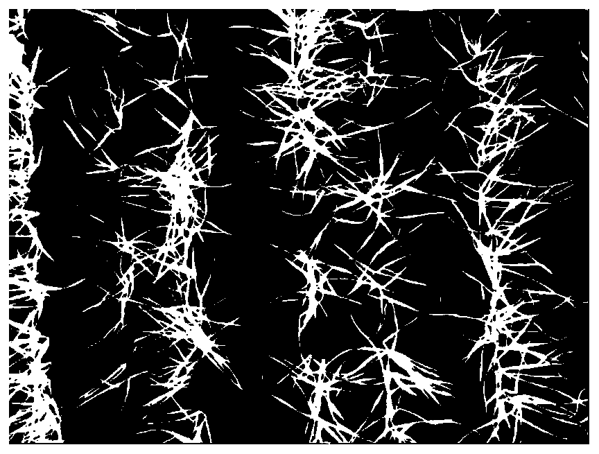 Wheat plant real-time counting method based on deep learning image segmentation