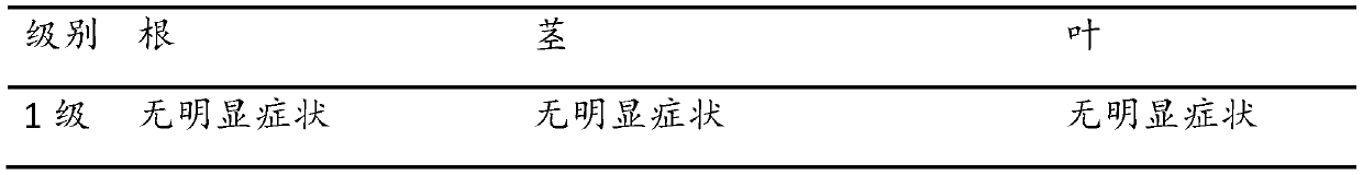 Composite rhizobium inoculant as well as preparation method and application thereof