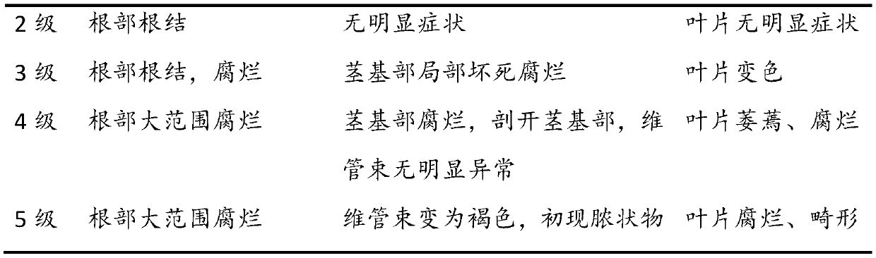 Composite rhizobium inoculant as well as preparation method and application thereof