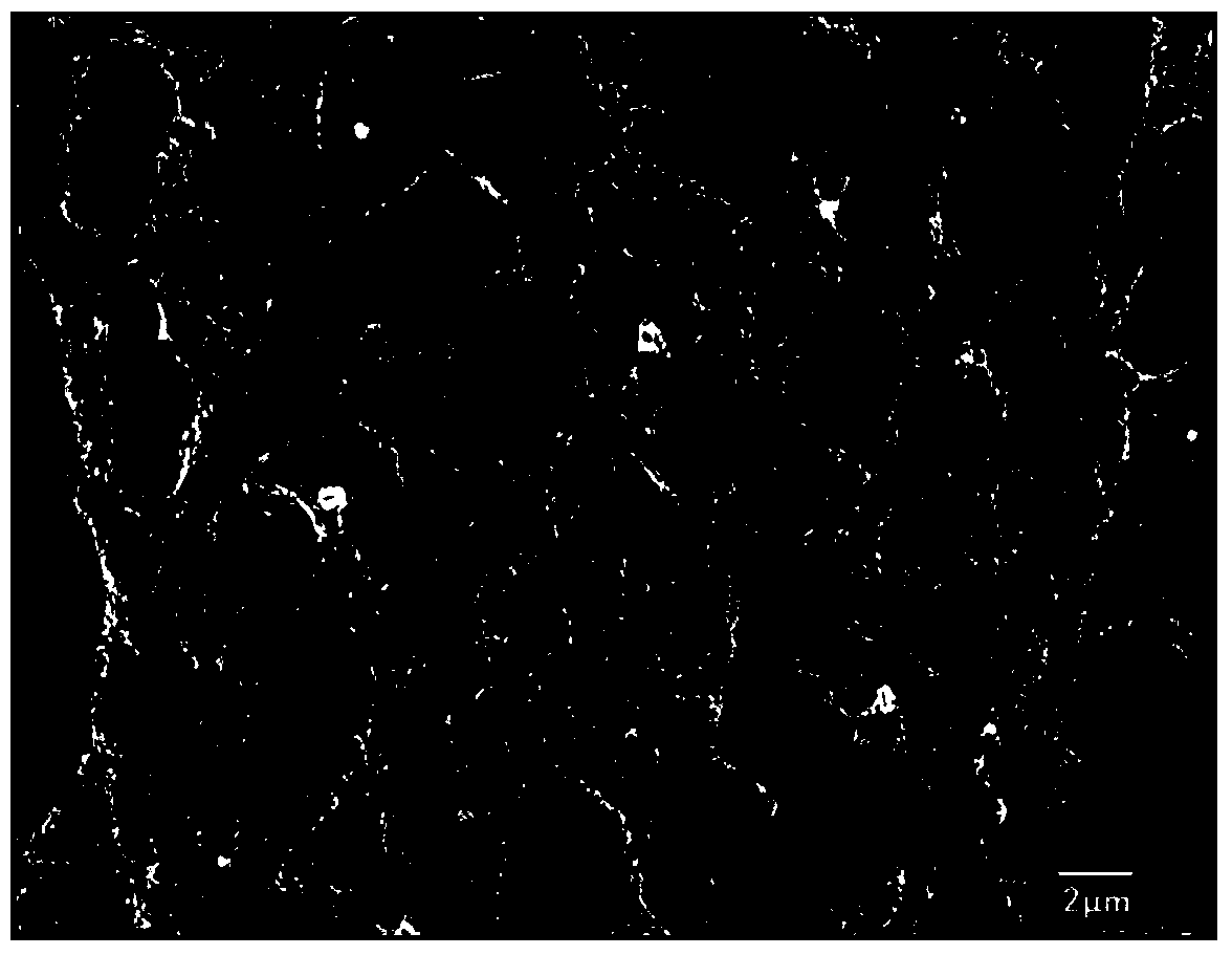 A kind of porous polyvinyl chloride foam ball and preparation method thereof