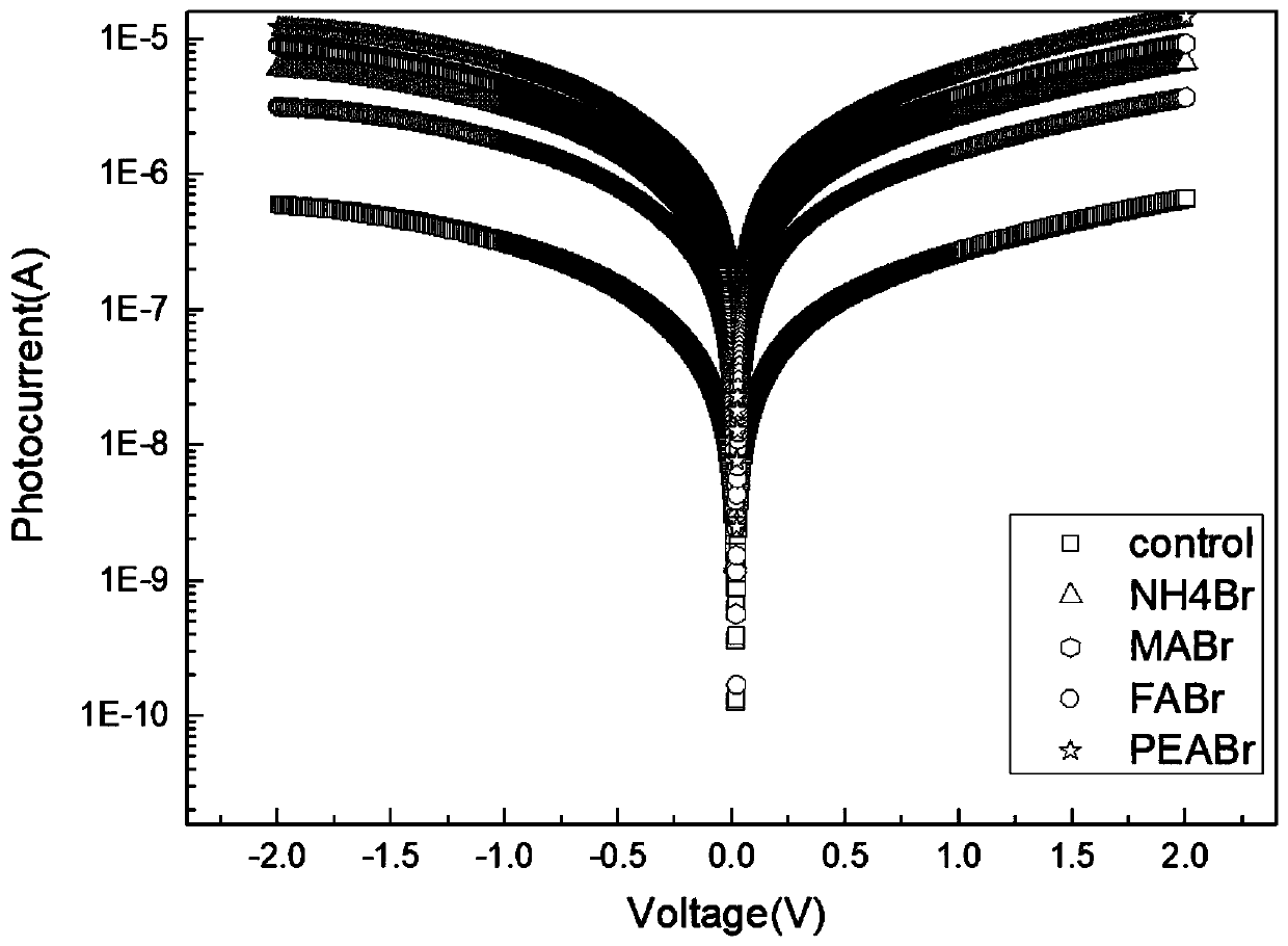 Double perovskite single crystal photodetector and preparation method thereof