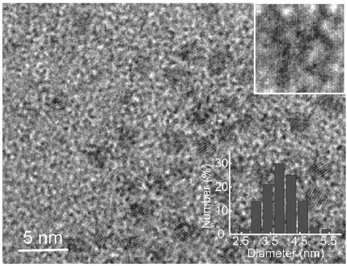 Telomerase activity detection kit and telomerase activity detection method