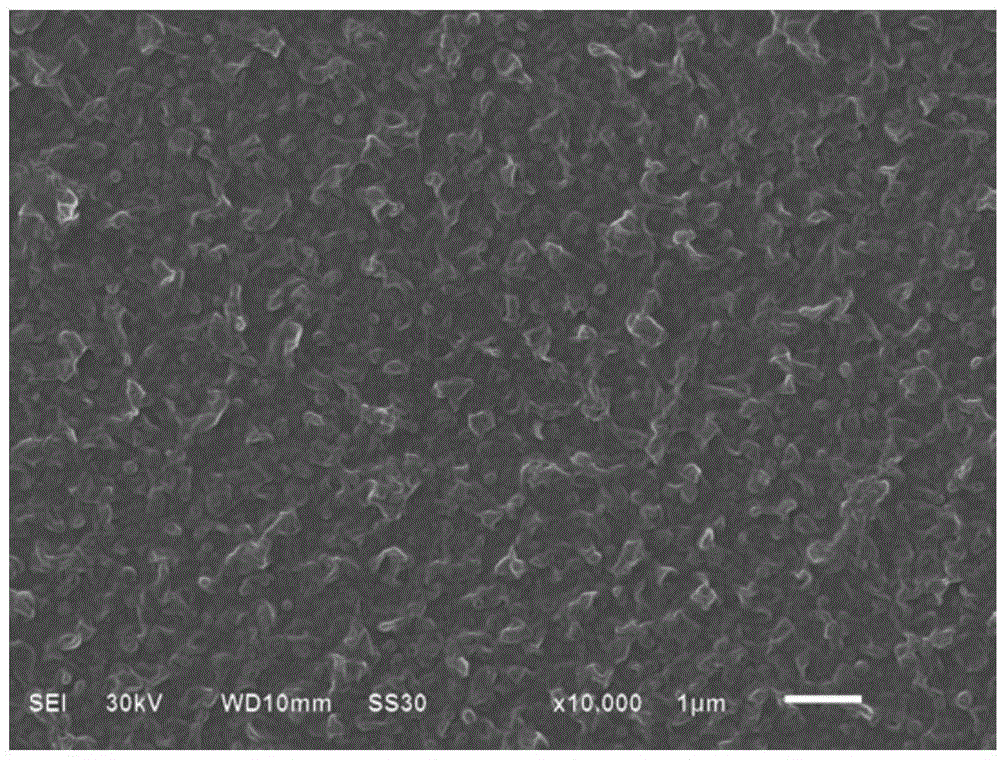 Hydrophility anti-pollution polyamide composite reverse osmosis membrane and preparation method thereof