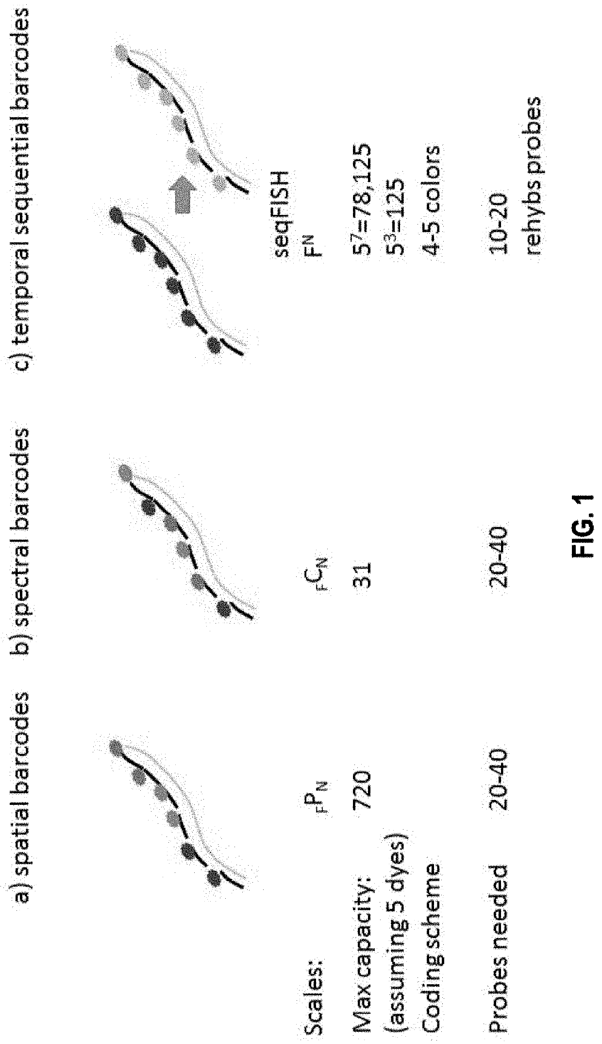 Sequential probing of molecular targets based on pseudo-color barcodes with embedded error correction mechanism