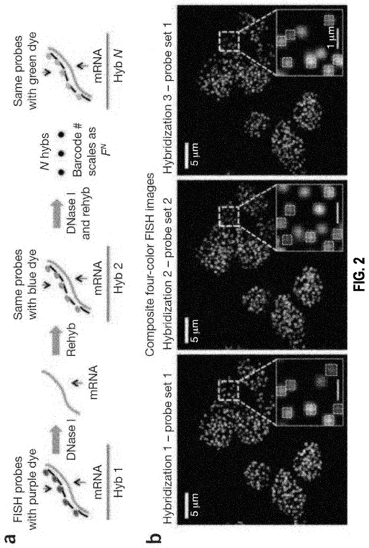 Sequential probing of molecular targets based on pseudo-color barcodes with embedded error correction mechanism