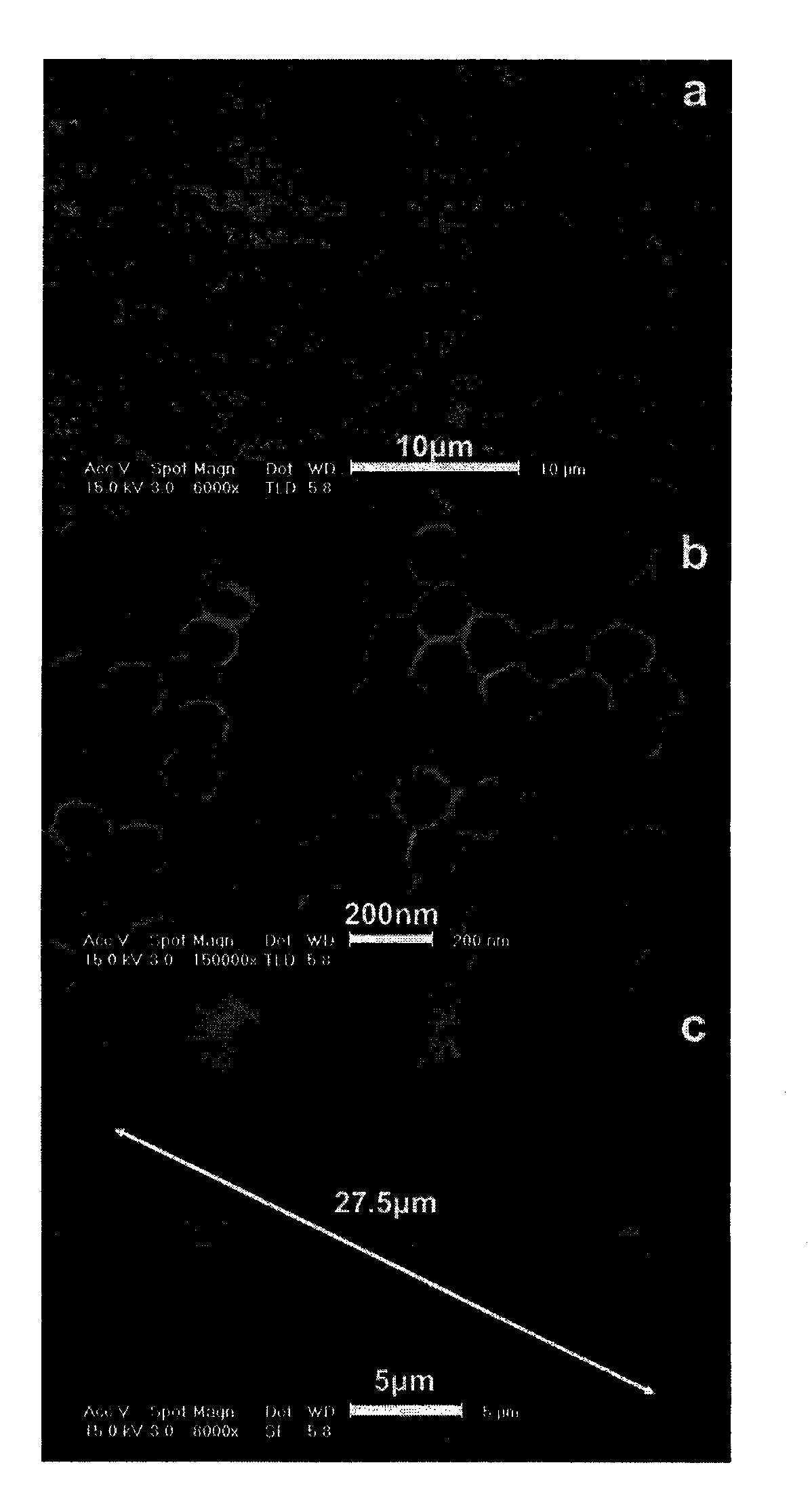 Method for preparing photo-electrode