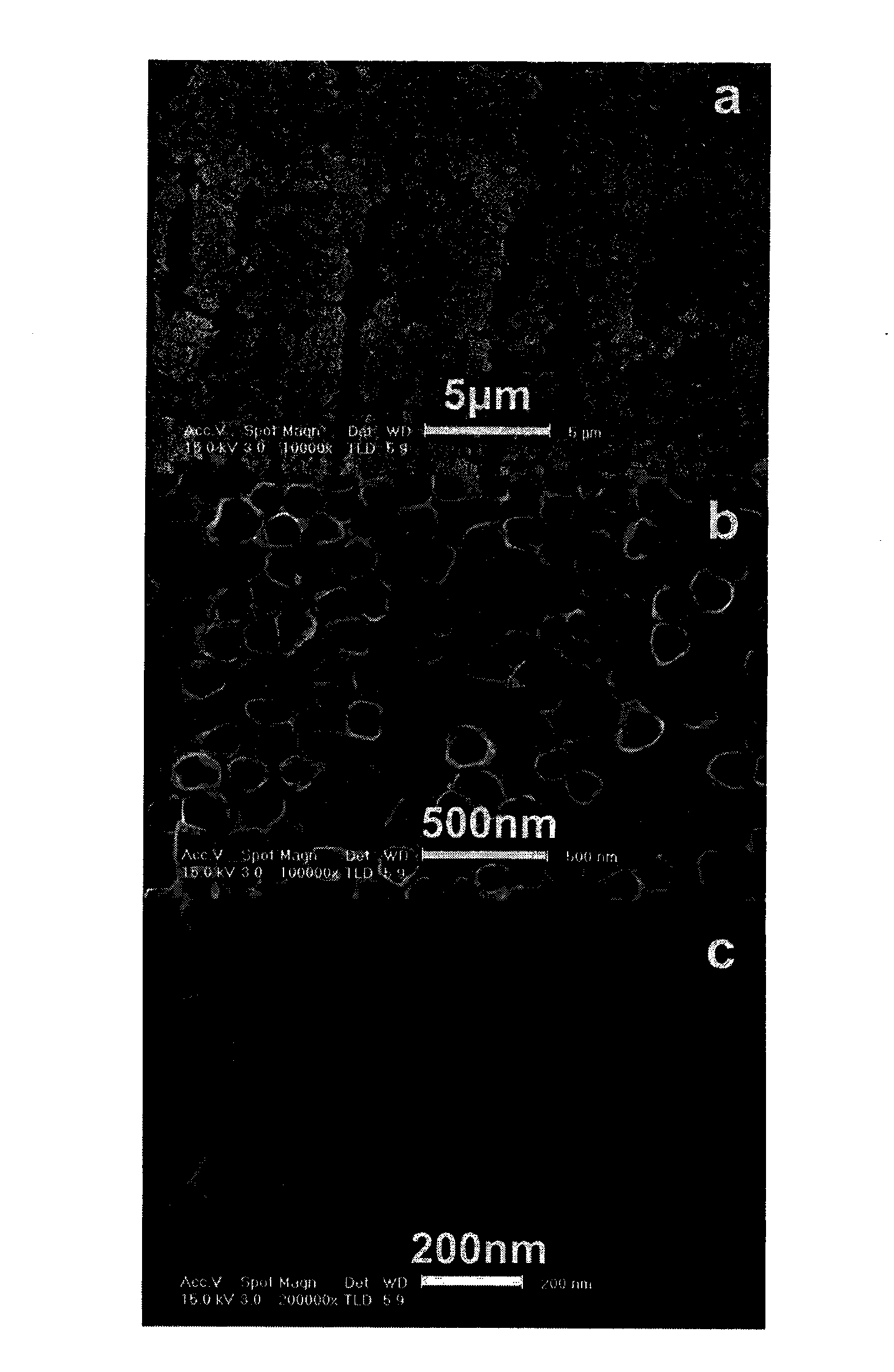 Method for preparing photo-electrode