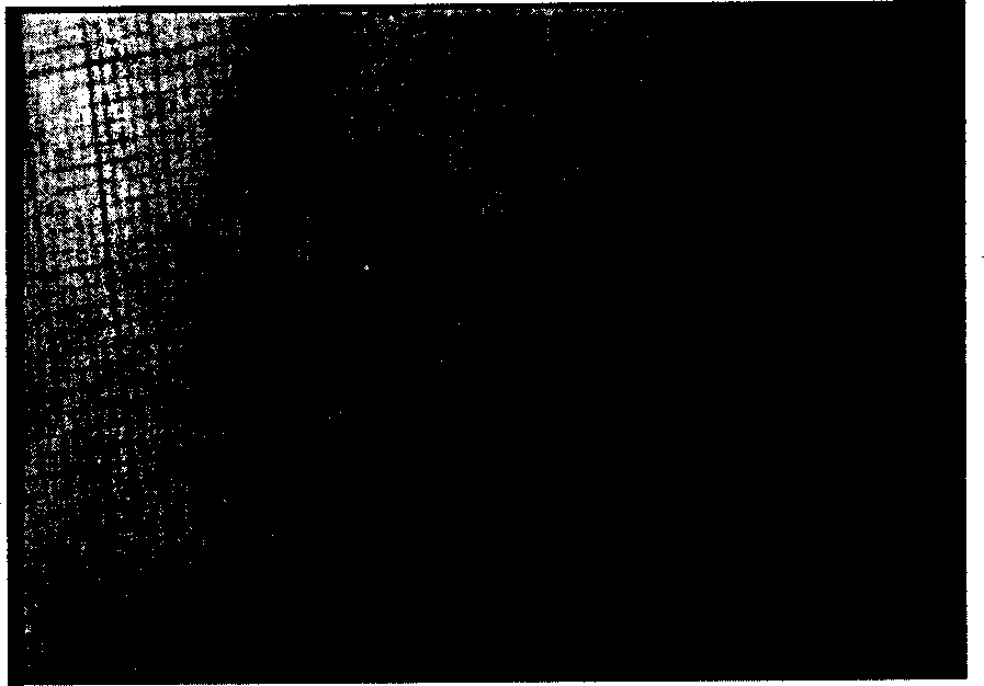 Process for preparing porous support frame of soft tissue engineering with water-soluble high-molecular material as mould