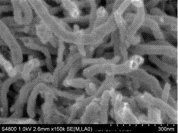 Treatment method of porous carbon carrier for noble metal catalysts